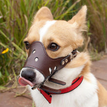 Load image into Gallery viewer, HiFuzzyPet Adjustable Dog Muzzle for Biting Barking