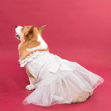 Load image into Gallery viewer, HiFuzzyPet Dog Tuxedo Costume & Dress for Wedding