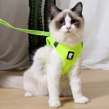 Load image into Gallery viewer, HiFuzzyPet Air Mesh Cat Harness and Leash Set