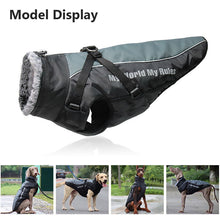 Load image into Gallery viewer, dog coat jacket model display