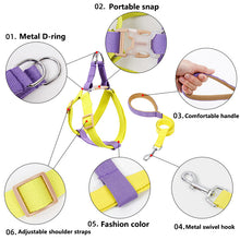 Load image into Gallery viewer, HiFuzzyPet Adjustable Nylon No Pull Dog Harness & Leash