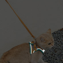 Load image into Gallery viewer, HiFuzzyPet Escape-proof Cat Harness and Leash for Walking