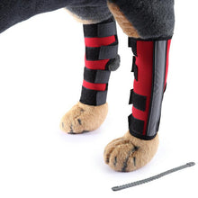 Load image into Gallery viewer, HiFuzzyPet Dog Knee Brace with Safety Reflective Straps
