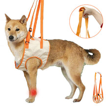 Load image into Gallery viewer, Front leg dog lift harness