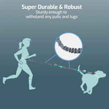 Load image into Gallery viewer, HiFuzzyPet Hands Free Dog Leash Set For Running