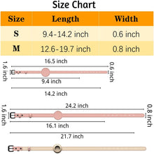 Load image into Gallery viewer, HiFuzzyPet Leather AirTag Dog Collar