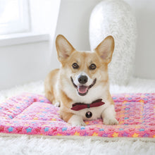 Load image into Gallery viewer, HiFuzzyPet Cozy Blanket For Cats, Puppy Crate Mat