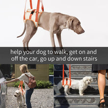 Load image into Gallery viewer, Can be walk with dog lift harness