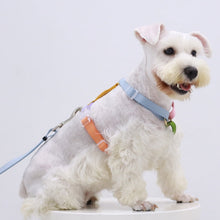 Load image into Gallery viewer, HiFuzzyPet Rainbow Easy Walk Harness for Runs, Walks, Hikes