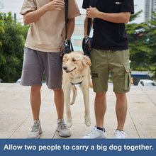 Load image into Gallery viewer, carry big dog together with dog lift harness