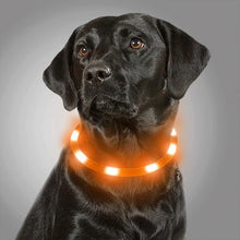 Load image into Gallery viewer, HiFuzzyPet Light Up Dog Collar for Night Walking
