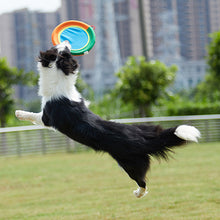 Load image into Gallery viewer, HiFuzzyPet Soft Dog Frisbee by Oxford Cloth