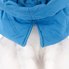 Load image into Gallery viewer, move freely dog cat cone collar