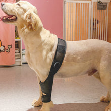 Load image into Gallery viewer, Dog knee brace for front leg