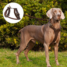 Load image into Gallery viewer, HiFuzzyPet Leather Dog Harness and Leash Set