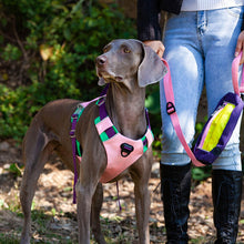 Load image into Gallery viewer, HiFuzzyPet Adjustable No Pull Dog Vest Harness