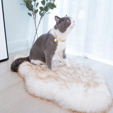 Load image into Gallery viewer, HiFuzzyPet Faux Fur Orthopedic Dog Rug