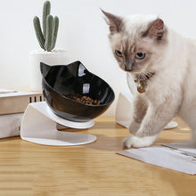 Load image into Gallery viewer, HiFuzzyPet Silicone Elevated Cat Bowls with Stand