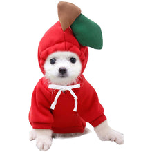 Load image into Gallery viewer, HiFuzzyPet Cat&Dogs Hooded Sweatshirt Fruit Warm