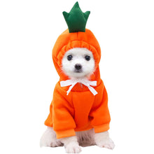Load image into Gallery viewer, HiFuzzyPet Cat&Dogs Hooded Sweatshirt Fruit Warm