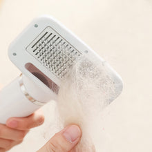 Load image into Gallery viewer, HiFuzzyPet 2 in 1 Portable Dog Blow Dryer with Slicker Brush
