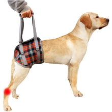 Load image into Gallery viewer, HiFuzzyPet Dog Lift Harness with Handle, Pet Recovery Sling