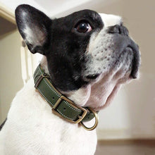 Load image into Gallery viewer, HiFuzzyPet Leather Dog Collar with Quick Release Buckle