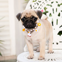 Load image into Gallery viewer, HifuzzyPet Pearls Dog Collar For Pets Wedding Birthday Party