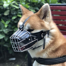 Load image into Gallery viewer, HiFuzzyPet Metal Dog Muzzle, Mouth Cover for Dogs Biting for Pant