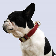 Load image into Gallery viewer, HiFuzzyPet Leather Dog Collar with Quick Release Buckle