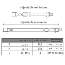 Load image into Gallery viewer, HiFuzzyPet Leather Dog Collar with Quick Release Buckle