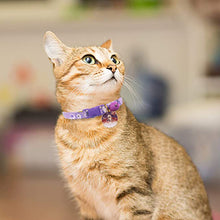 Load image into Gallery viewer, HiFuzzyPet Breakaway Cat Collar with Bell
