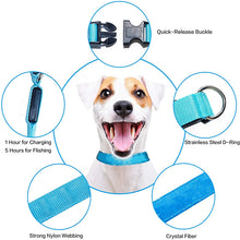 Load image into Gallery viewer, HiFuzzyPet Dog Light Collar, Adjustable Soft Dog Collar