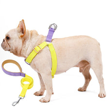 Load image into Gallery viewer, HiFuzzyPet Adjustable Nylon No Pull Dog Harness & Leash