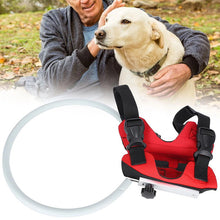 Load image into Gallery viewer, red blind dog halo build pet's confidence