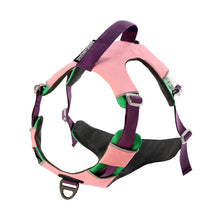 Load image into Gallery viewer, HiFuzzyPet Adjustable No Pull Dog Vest Harness