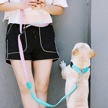 Load image into Gallery viewer, HiFuzzyPet Multifunctional 3 in 1 Hands Free Dog Leashes