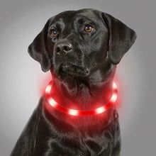 Load image into Gallery viewer, HiFuzzyPet Light Up Dog Collar for Night Walking