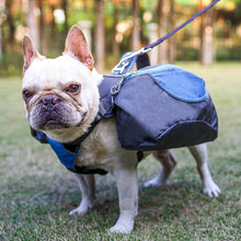 Load image into Gallery viewer, HiFuzzyPet Lightweight Dog Saddle Bags Pack for Hiking and Traveling