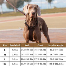 Load image into Gallery viewer, HiFuzzyPet Leather Dog Harness and Leash Set