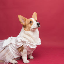 Load image into Gallery viewer, HiFuzzyPet Dog Tuxedo Costume & Dress for Wedding
