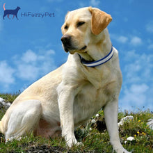 Load image into Gallery viewer, HiFuzzyPet Dog Light Collar, Adjustable Soft Dog Collar
