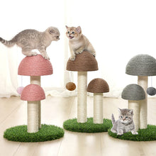 Load image into Gallery viewer, HiFuzzyPet Mushroom Scratching Post for Cat