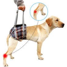 Load image into Gallery viewer, HiFuzzyPet Dog Lift Harness with Handle, Pet Recovery Sling