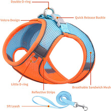Load image into Gallery viewer, HiFuzzyPet Summer Vest Style Cat Harness and Leash Set
