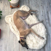 Load image into Gallery viewer, HiFuzzyPet Faux Fur Orthopedic Dog Rug