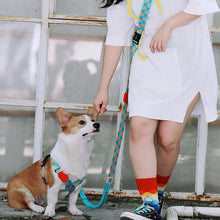 Load image into Gallery viewer, HiFuzzyPet Multifunctional 3 in 1 Hands Free Dog Leashes