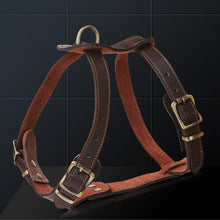 Load image into Gallery viewer, HiFuzzyPet Leather Dog Harness and Leash Set