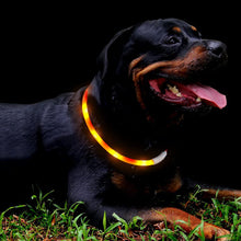 Load image into Gallery viewer, HiFuzzyPet Light Up Dog Collar for Night Walking