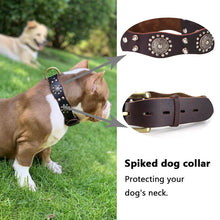 Load image into Gallery viewer, HiFuzzyPet Leather Spiked Dog Collar for Middle & Large Dogs